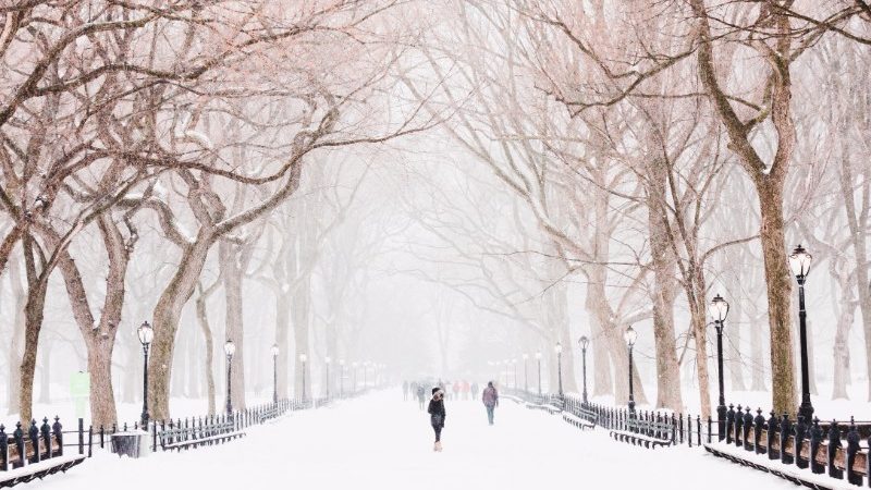 Why I love New York in Winter