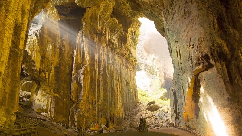 Creepy natural wonder Gomantong Caves in Borneo