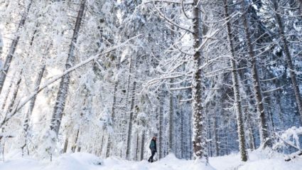 6 of Europe’s top ‘Not Hot’ spots for 2018