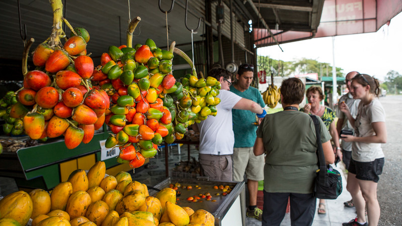 Costa Rica week guide market San Jose