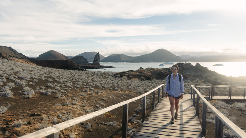 A traveller walks along a boardwalk in the Galapagos