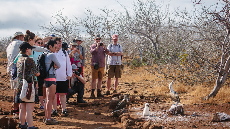 A group of travellers look at wildlife in the Galapagos