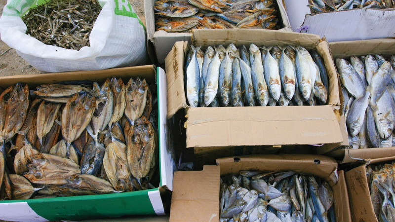 iceland fish market