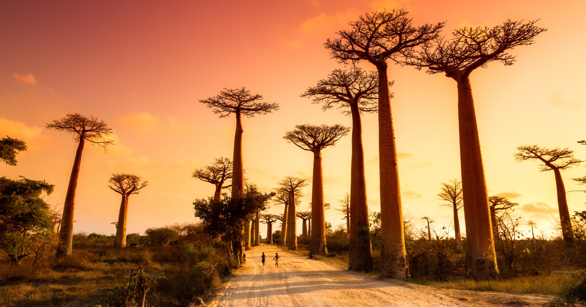 travel to madagascar from us