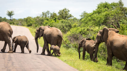 10 facts you probably don’t know about South Africa