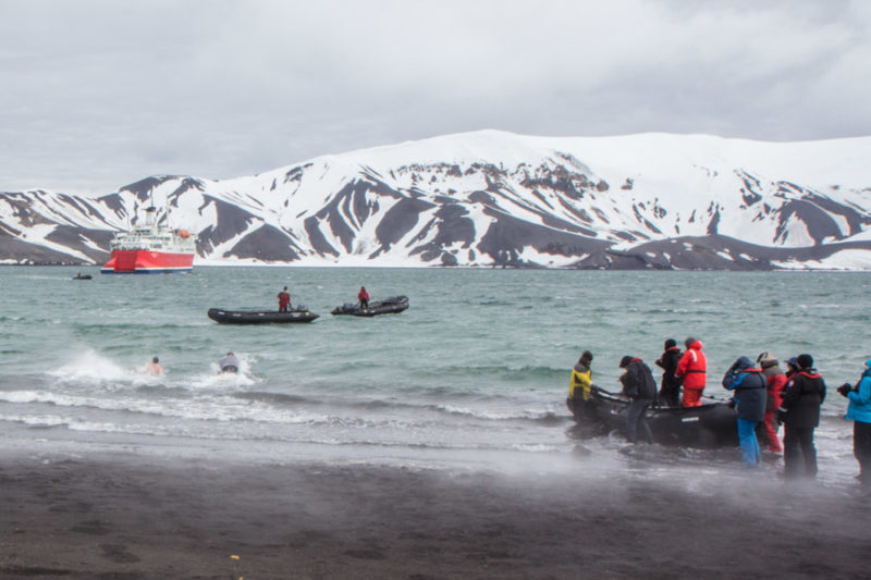 polar plunge antarctica