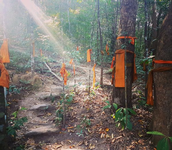 What to do in Chiang Mai hike