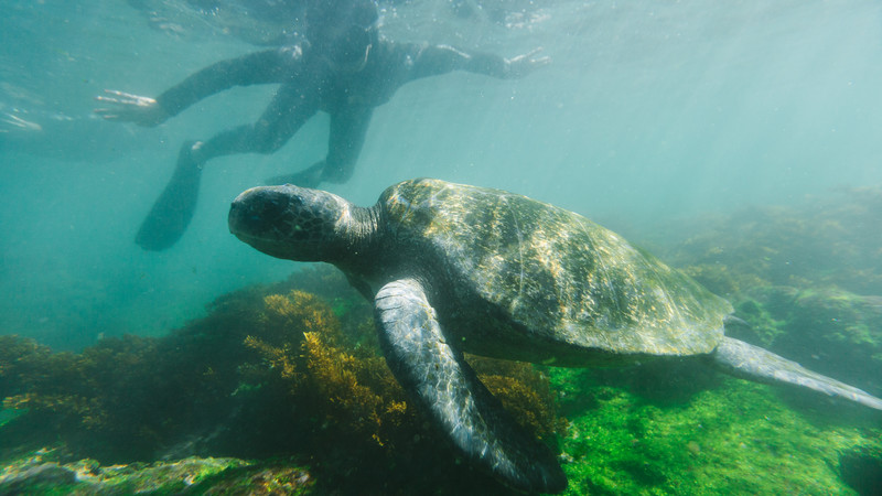 What to do in the Galapagos Islands