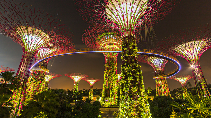 Supertree Grove lit up at night at Gardens by the Bay, Singapore