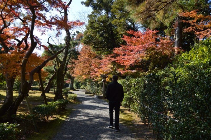 Japan shrine walk