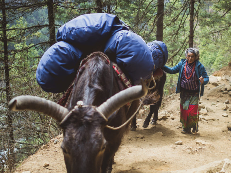 Everest Base Camp guide