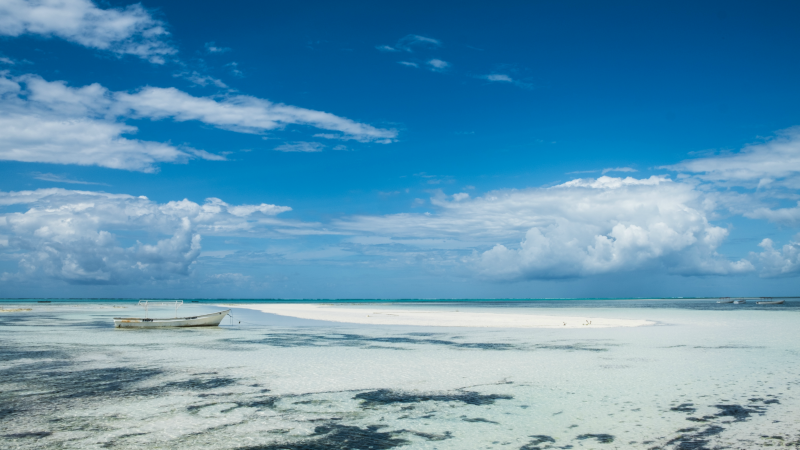 A secluded beach in Zanzibar
