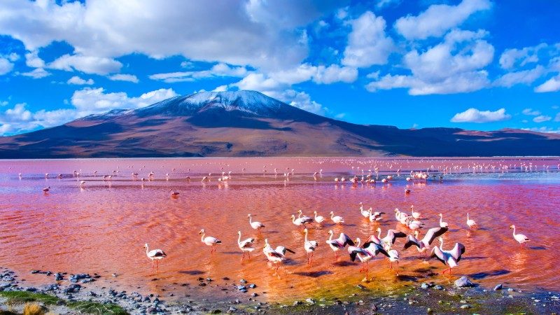 10 Naturally Pink Lakes