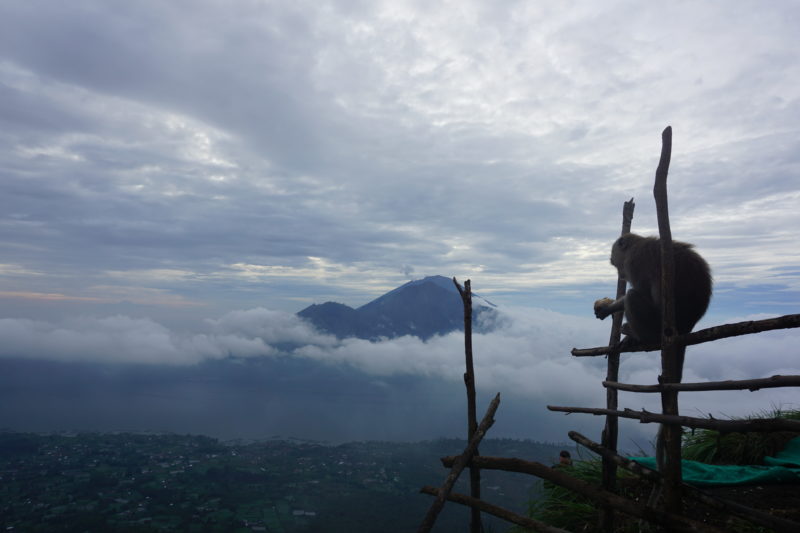 Mt Batur hike Bali