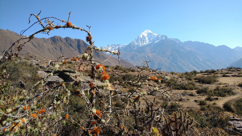 Picturesque mountain scene along the Quarry Trail