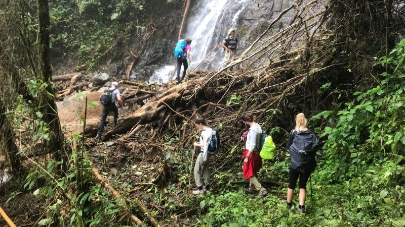 A group of hikers climb over roots and fallen branches along the Savegre River, Costa Rica