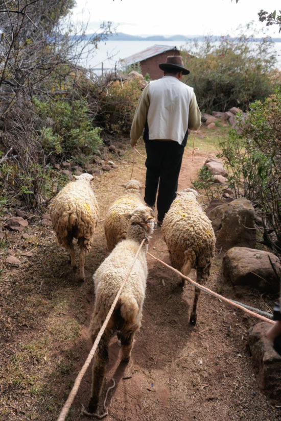 Lake Titicaca Peru homestay