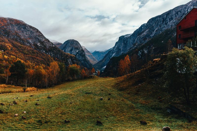 Norway Nature Naeroydalen Valley