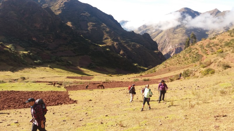 Four trekkers on the Quarry Trail