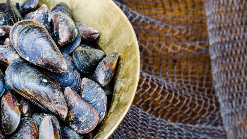 Bowl of fresh mussels