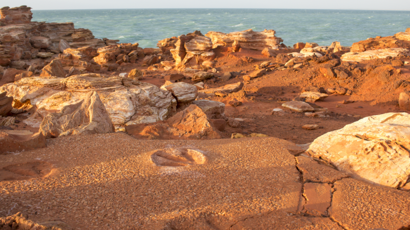 gantheaume point dinosaur footprints location