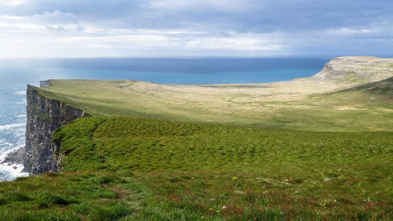 Latrabjarg birding cliffs, Iceland