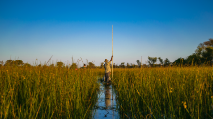 botswana water safari