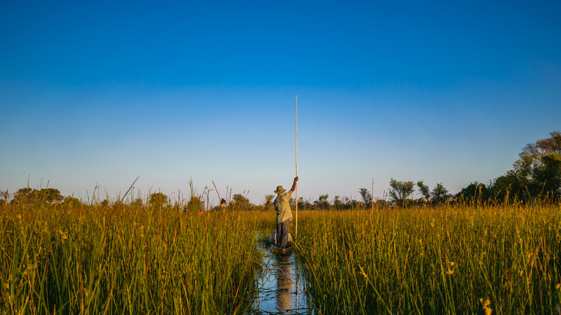 A mokoro through the Okavango Delta