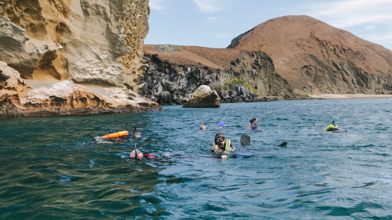 Active Galapagos