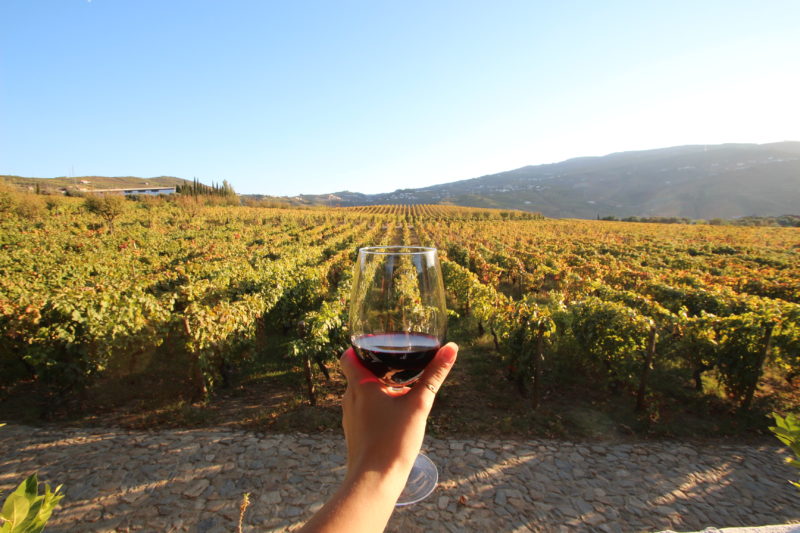 Portugal one week guide wine Douro Valley