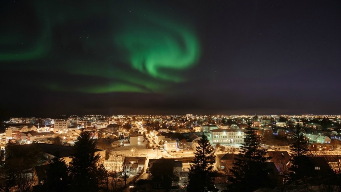 Reykjavik food nightlife guide