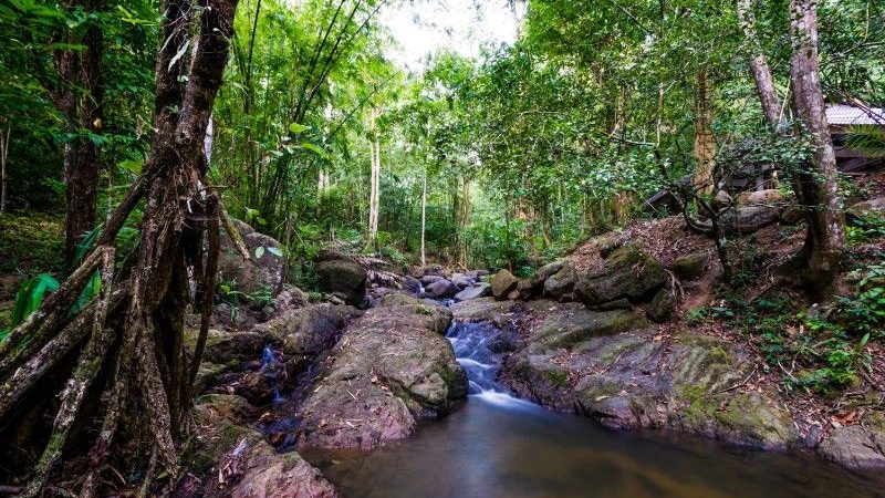 A beautiful waterfall in Phuket