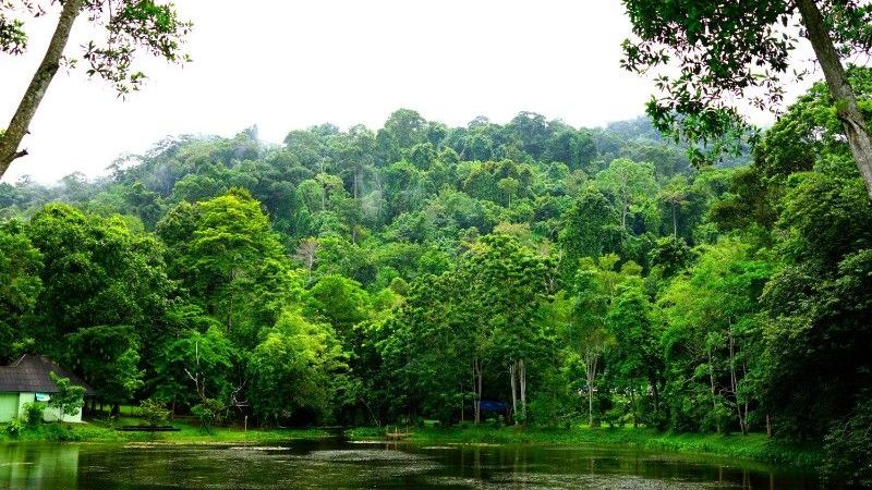 Khao Phra Thaeo National Park, Thailand