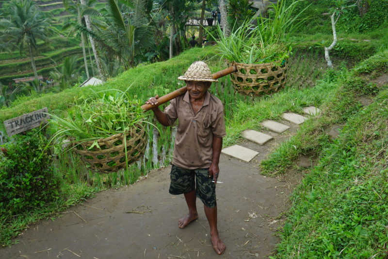 What to do in Ubud