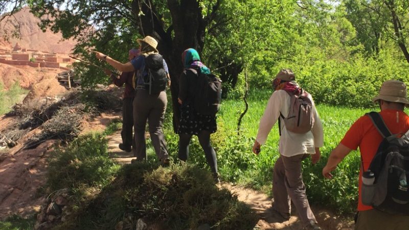 Trekkers walk to the kasbah in Morocco