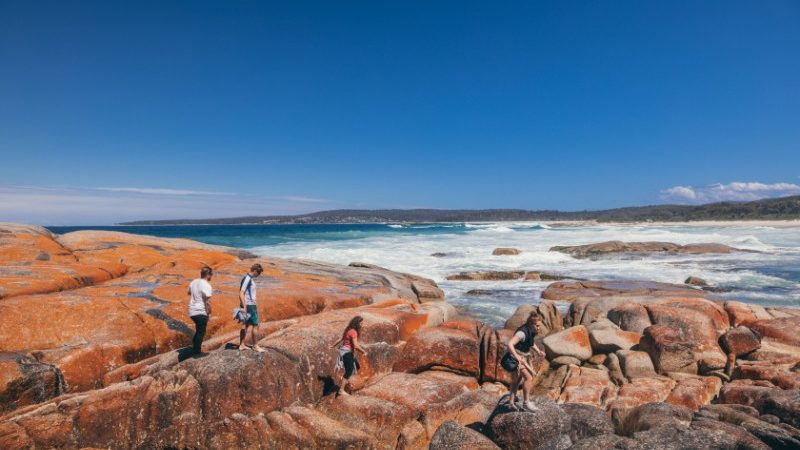 Exploring Bay of Fires, Tasmania