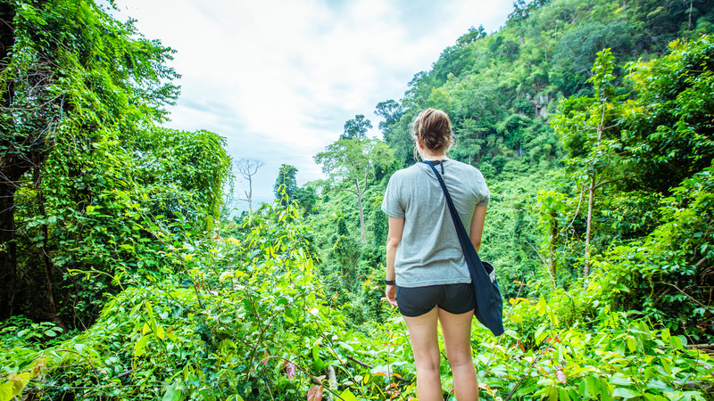 A traveller admires the Cambodian jungle