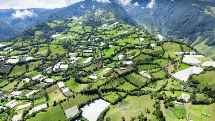 Ecuador in one week: The ultimate guide