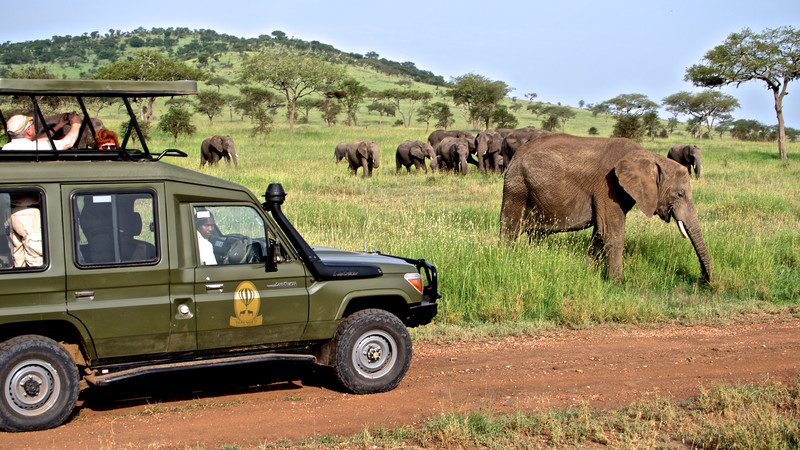 great family vacations safari