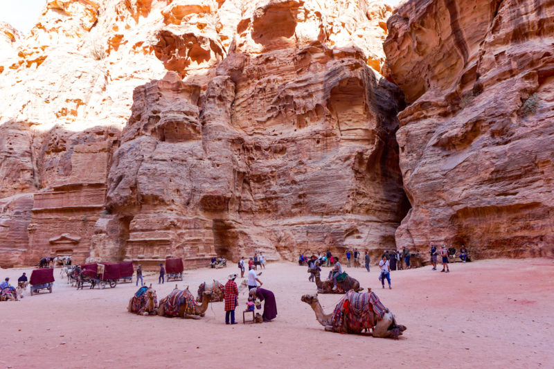 Petra guide Jordan