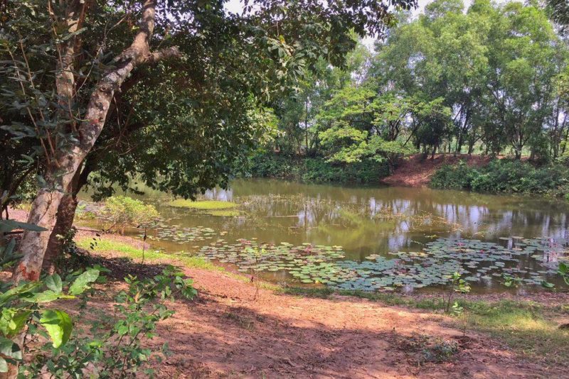 Phnom Penh Killing Fields