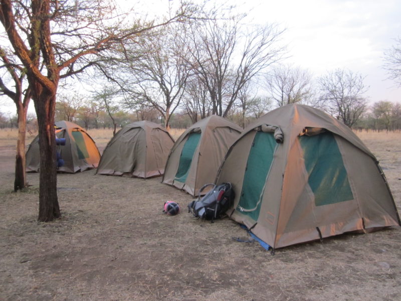 Camping Serengeti East Africa