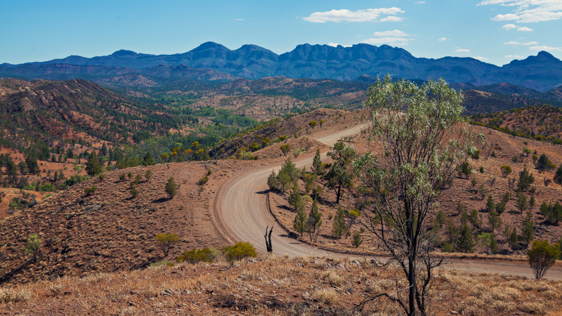An Australian dirt track on the route to Wilpena Pound, Australia