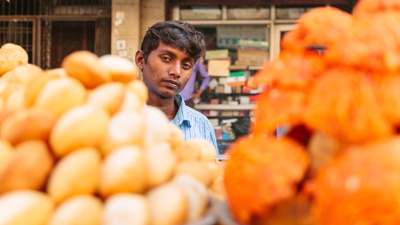 India vegan travel