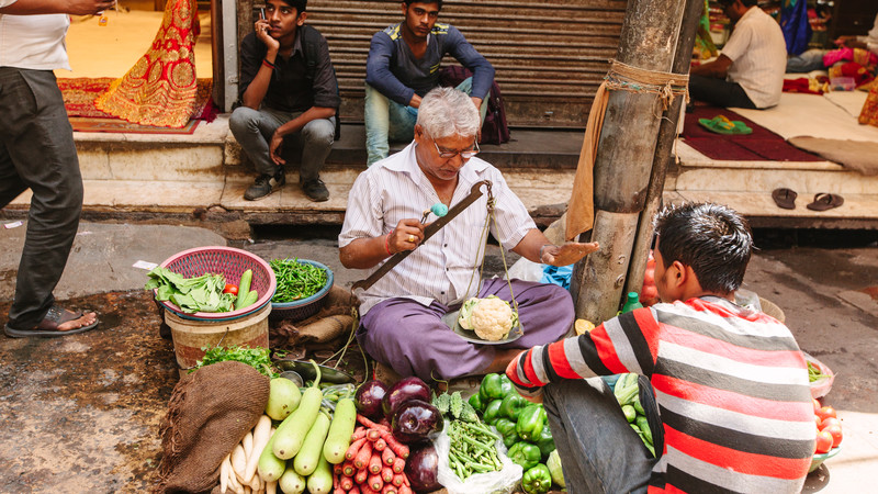 India vegan travel