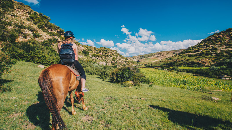 Riding horses in Lesotho