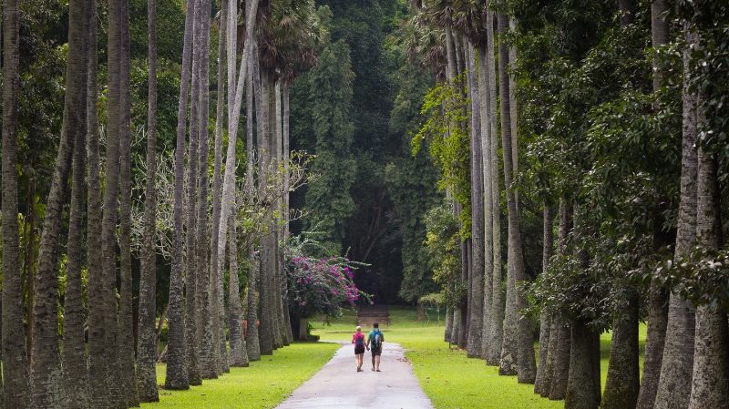 Travellers walk through Botanic Gardens, Kandy