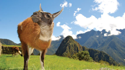 trips to peru from uk