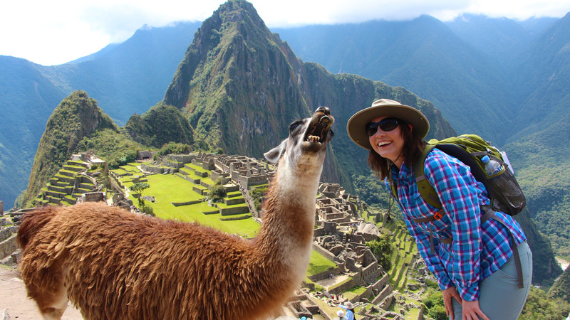 Machu Picchu Peru llama 