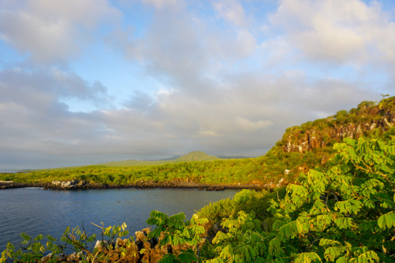 solo travel Galapagos tour